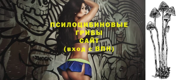 метадон Армянск