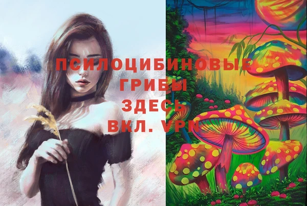 метадон Армянск