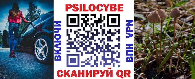 Псилоцибиновые грибы Magic Shrooms  Таруса 